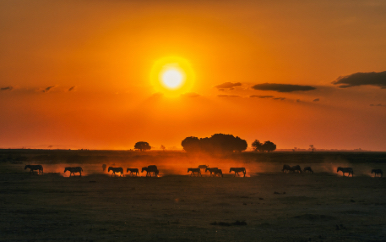 sunset scene in Kenya