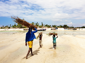 Man and his children carrying wood on their heads