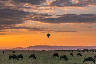 balloon safari at sunrise